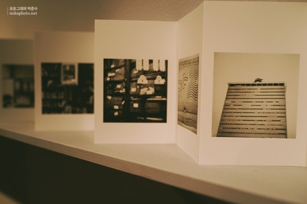 steidl 09