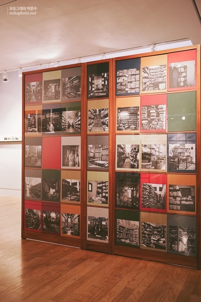 steidl 10