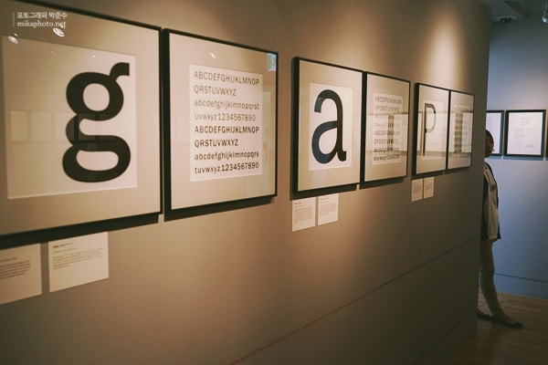 steidl 11