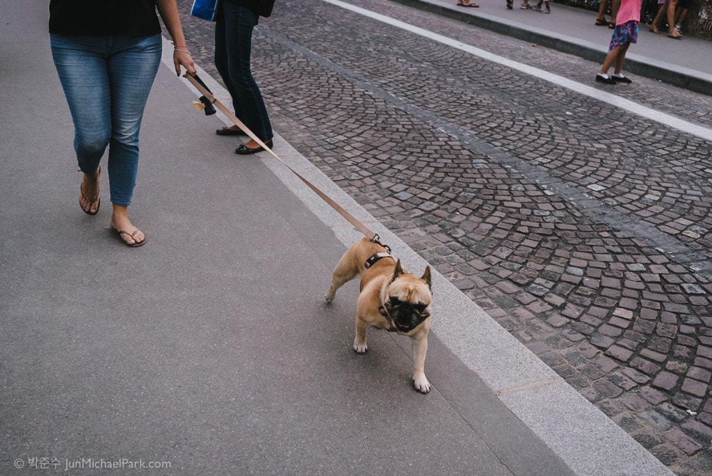 Paris 04
