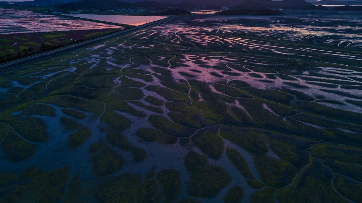 In Jeolla Province, Korea photographer Jun Michael Park captured the sunset, crimson sky, and reflections on mudflats off Jeungdo Island with a drone, resembling tree branches or roots.